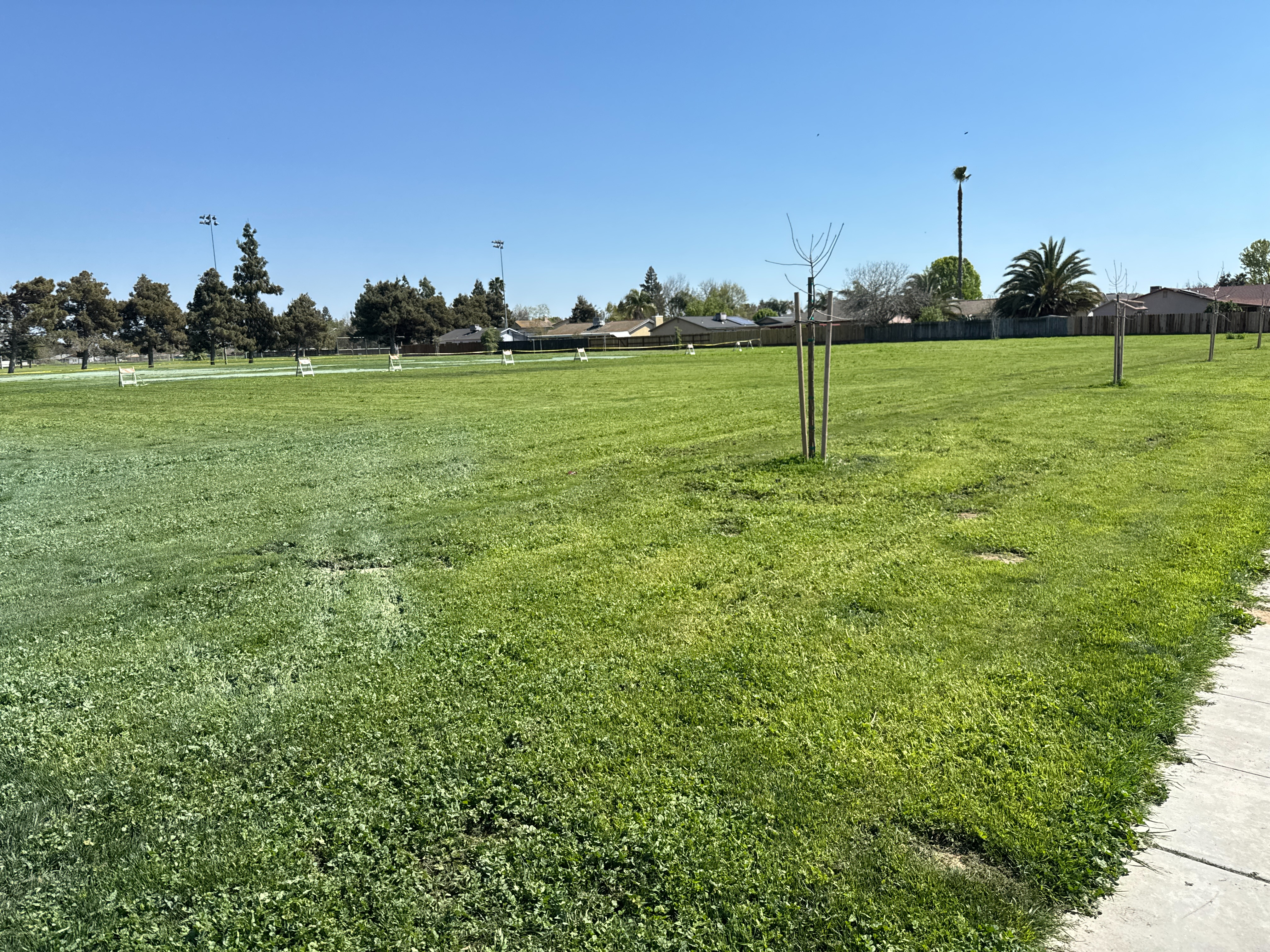 urban_runoff_image_8